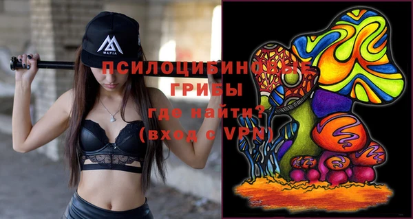 мдпв Михайлов