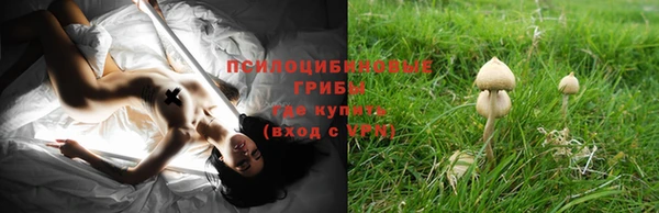 MESCALINE Медногорск